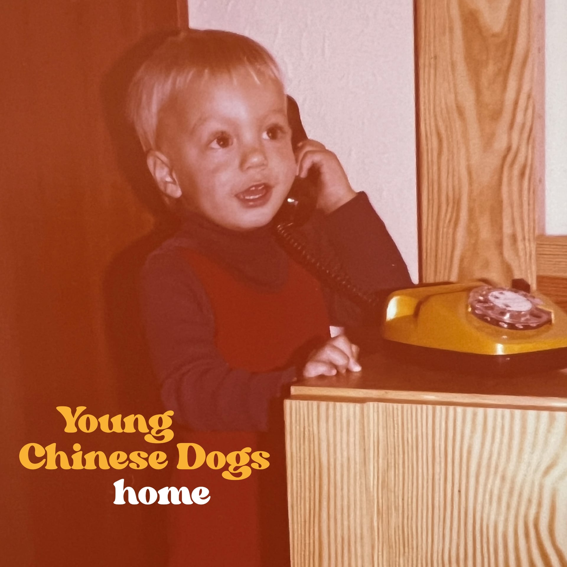 Young Chinese Dogs – Home